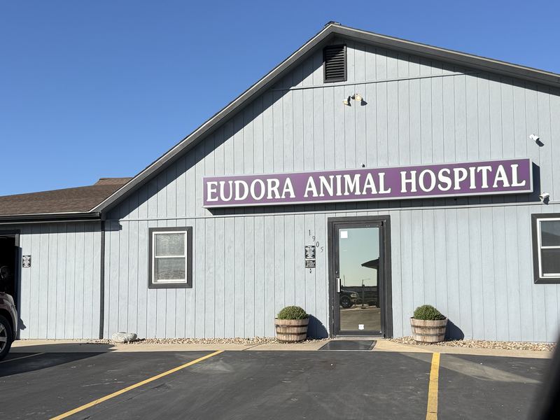 The Eudora Animal Hospital, a light blue building with a purple sign and potted plants by the front door