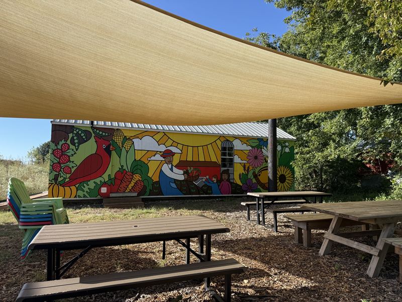 The Eudora Giving Garden: picnic tables on wood chips under a big shade sail, in front of a colorful mural of flowers and birds